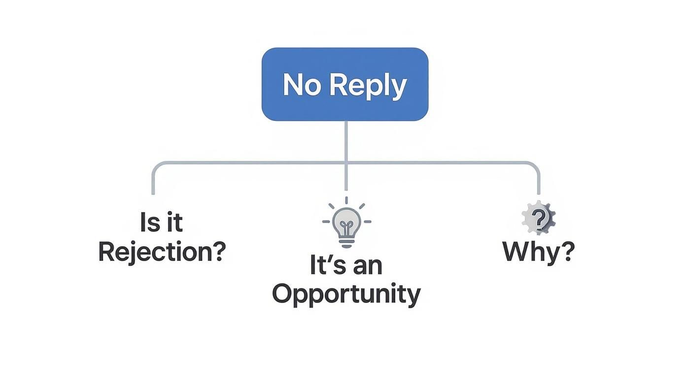 Follow Up Email After No Response Template: Get Replies