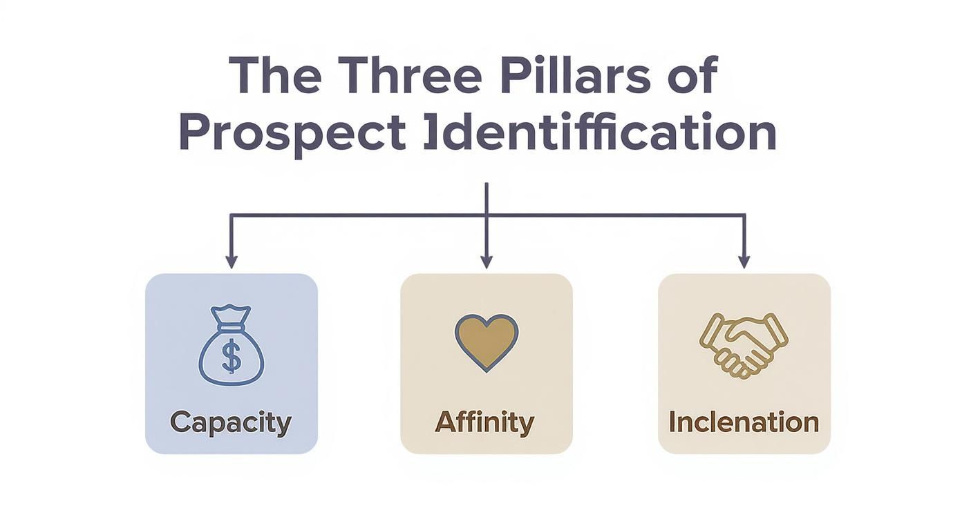 What Is Prospect Research Explained